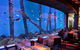 Cairns Aquarium And Small Group City Sightseeing Tour - thumb 0
