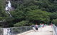 Cairns Aquarium And Small Group City Sightseeing Tour - thumb 8
