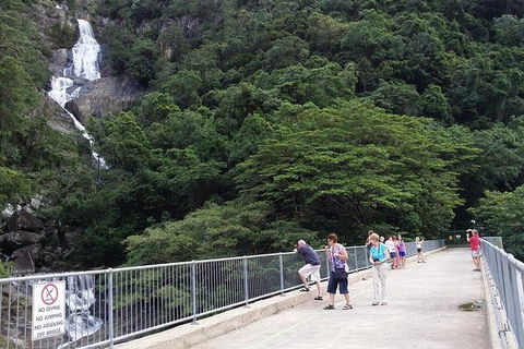 Cairns Aquarium And Small Group City Sightseeing Tour - Accommodation Bookings 8