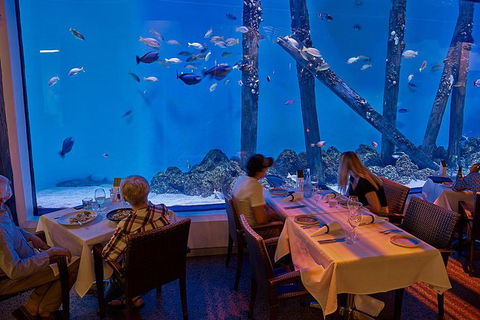 Cairns Aquarium And Small Group City Sightseeing Tour - Accommodation Bookings 2