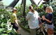 Cairns Aquarium And Small Group City Sightseeing Tour - thumb 3