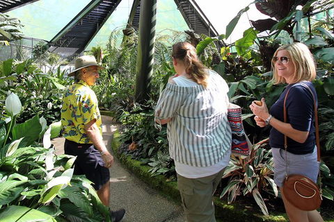 Cairns Aquarium And Small Group City Sightseeing Tour - Accommodation Bookings 3