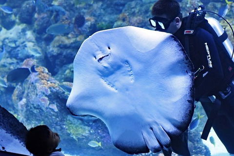 Cairns Aquarium And Small Group City Sightseeing Tour - Accommodation Bookings 1