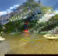 Babinda Half Day or Full Day Stand-up Paddle Board Self-Guided Tour - Accommodation Bookings