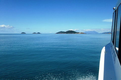 Fozzy\'s 3 Hour, 3 Island Tour - Accommodation Bookings 7
