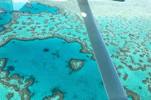 Reef & Whitehaven Landing - Accommodation Bookings 1