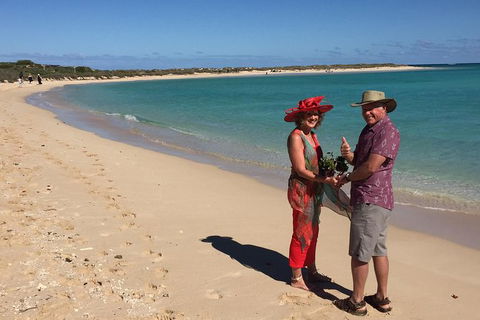 Elope In Paradise - Weddings At Mission Beach - Accommodation Bookings 6