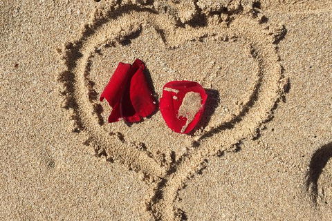 Elope In Paradise - Weddings At Mission Beach - Accommodation Bookings 3