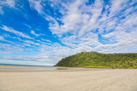 Daintree Afternoon Nocturnal Nature And Wildlife Tour - Accommodation Bookings 8