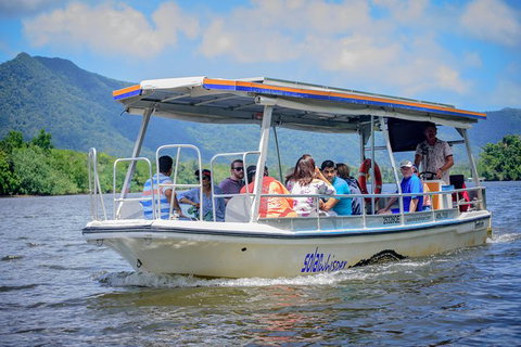 Daintree Afternoon Nocturnal Nature And Wildlife Tour - Accommodation Bookings 6
