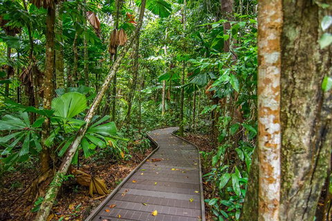 Daintree Afternoon Nocturnal Nature And Wildlife Tour - Accommodation Bookings 9
