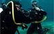 Gold Coast Try-Scuba Experience At Cook Island Aquatic Reserve - thumb 2