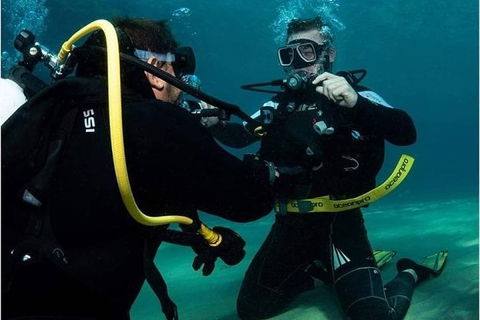 Gold Coast Try-Scuba Experience At Cook Island Aquatic Reserve - Accommodation Bookings 2