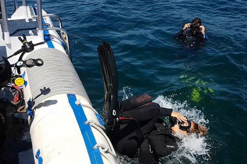 Gold Coast Try-Scuba Experience At Cook Island Aquatic Reserve - Accommodation Bookings 5