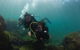 Gold Coast Try-Scuba Experience At Cook Island Aquatic Reserve - thumb 4