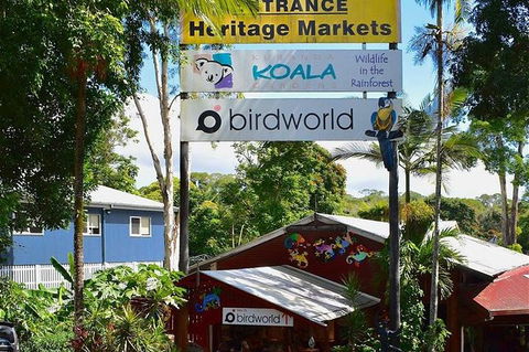 Kuranda Is Waiting Come Take The Spectacular Skyrail / Kuranda Scenic Railway - Accommodation Bookings 0