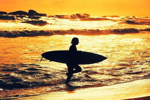 Discover Surfers Paradise - Accommodation Bookings 0