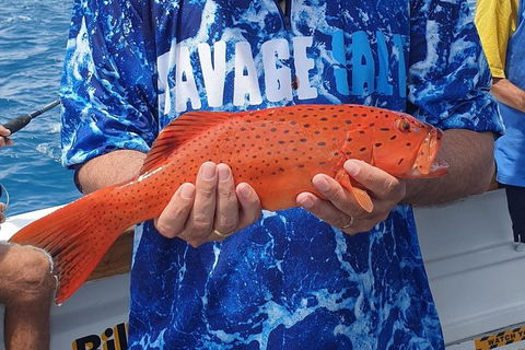 Morning Half Day Fishing Charter Airlie Beach Whitsundays - Accommodation Bookings 4