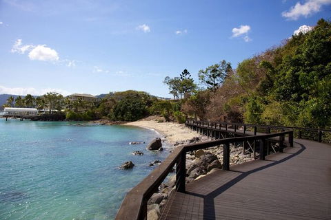 Rainforest To Reef Experience - Reef And Beyond Guided Holidays - Accommodation Bookings 4