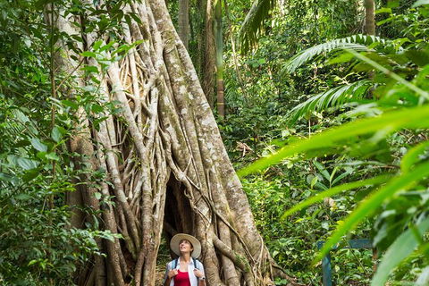Rainforest To Reef Experience - Reef And Beyond Guided Holidays - Accommodation Bookings 2