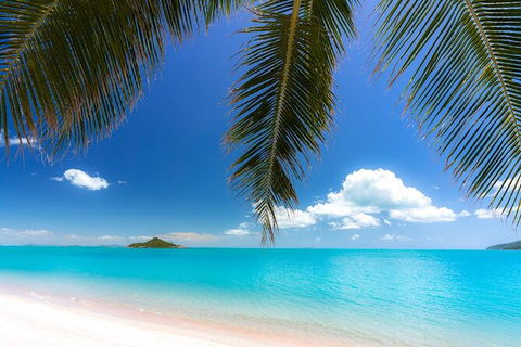Rainforest To Reef Experience - Reef And Beyond Guided Holidays - Accommodation Bookings 1