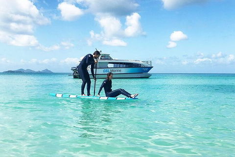 Rainforest To Reef Experience - Reef And Beyond Guided Holidays - Accommodation Bookings 3