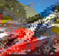 Cairns Adventure Package- 4 tours in 3 days - Accommodation Bookings