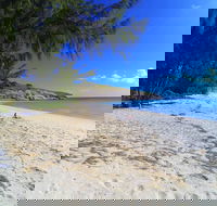 Lizard Island Day Tour by Air from Cairns - Accommodation Bookings
