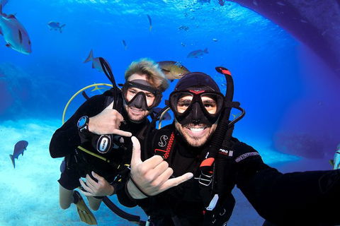 Learn To Scuba Dive: 4 Day Great Barrier Reef PADI Open Water Course Day Trips - Accommodation Bookings 3