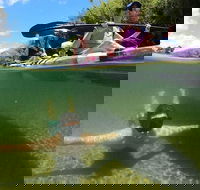 Babinda Half Day or Full Day Self-Guided Kayaking Experience - Accommodation Bookings