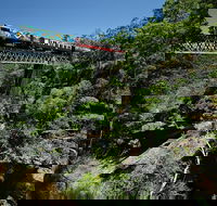 Kuranda Day TourTKS- Budget 930 - Accommodation Bookings