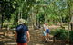 Scenic Cooktown & Outback (Fly/Drive) From Cairns Or Port Douglas - thumb 9