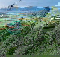 Kuranda Day Tour TKS-RFS GRAND GOLD PLUS 0930 - Accommodation Bookings