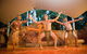 Kuranda Day Tour, TKS-RFS GRAND GOLD PLUS 0930 - thumb 6