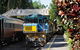 Kuranda Day Tour, TKS-RFS GRAND GOLD PLUS 0930 - thumb 7