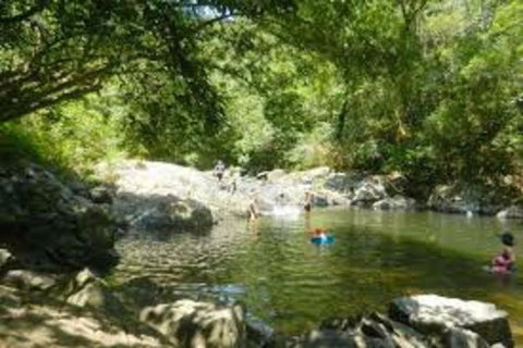 Waterfall And Wallabies Sighting Tour - Accommodation Bookings 2