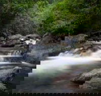 Waterfall and Wallabies Sighting Tour - Accommodation Bookings