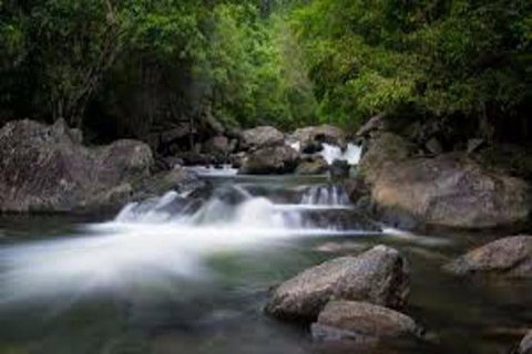 Waterfall And Wallabies Sighting Tour - Accommodation Bookings 0