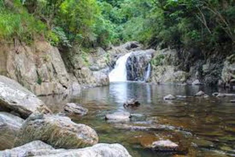 Waterfall And Wallabies Sighting Tour - Accommodation Bookings 4