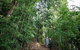 Private Group Eco Tour - thumb 0