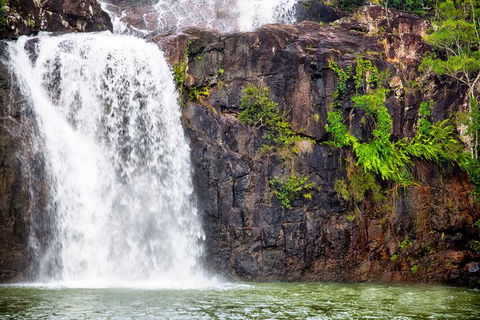 Cedar Creek Falls And Hydeaway Bay Tour - Accommodation Bookings 2