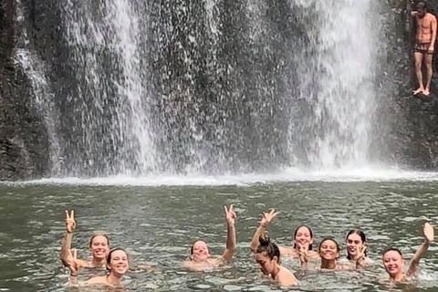 Cedar Creek Falls And Hydeaway Bay Tour - Accommodation Bookings 3