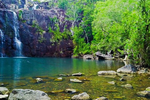 Cedar Creek Falls And Hydeaway Bay Tour - Accommodation Bookings 4