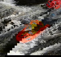Rapid Boarding Barron River Afternoon Experience - Accommodation Bookings