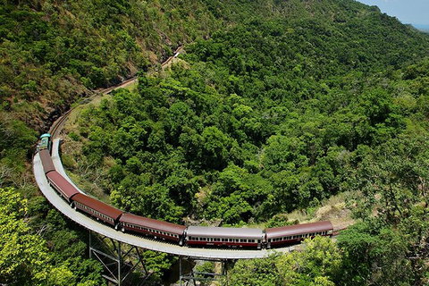 Kuranda Tour Deluxe Course With Kuranda 3 Zoos - Accommodation Bookings 6