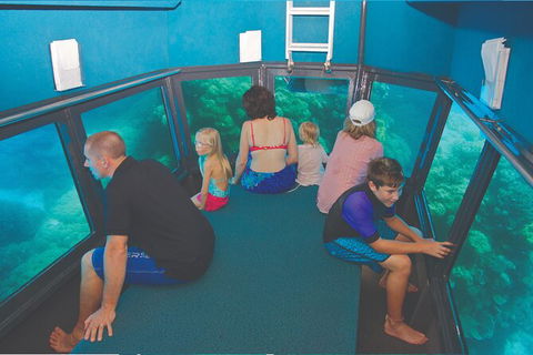 Cruise To Outer Reef - Cruise Return Plus 10 Minute Scenic Flight - Accommodation Bookings 8