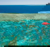 Cruise to Outer Reef - Cruise Return Plus 10 Minute Scenic Flight - Accommodation Bookings