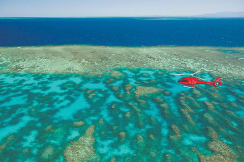 Cruise To Outer Reef - Cruise Return Plus 10 Minute Scenic Flight - Accommodation Bookings 0