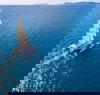 2-Night Whitsunday Islands Sailing Adventure on Trimaran 'Avatar' - Accommodation Bookings
