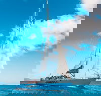 3 Day and 2 Night Whitsundays Maxi Sailing Adventure on Hammer - Accommodation Bookings